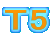 T5