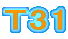 T31